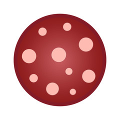 Salami smoked sausage slice. Top view macro detail salami sausage slice texture. Vector illustration isolated on white background.