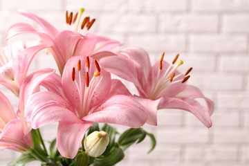 Beautiful blooming lily flowers on brick wall background