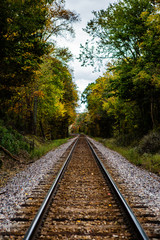 An abandoned railroad in the middle of a forest in fall