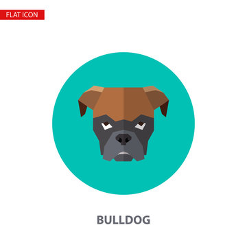 Bulldog head vector flat icon on turquoise circular background