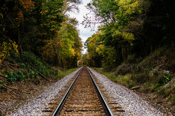 An abandoned railroad in the middle of a forest in fall