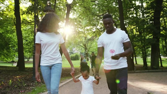 Smiling african american family walking in a gorgeous picturesque park while holding hands with each other curly young pretty happy holiday garden man woman child slow motion close up