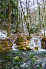 Wild river on the winter