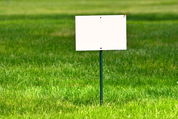 Empty white board on a green grass background