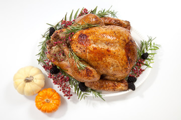 Thanksgiving Turkey on White