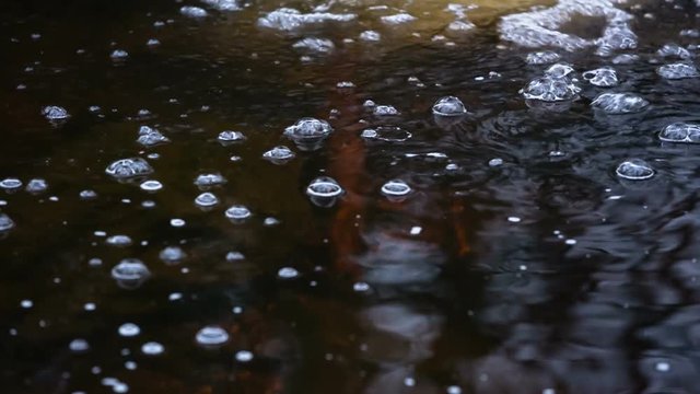 Bubbles on the brown water of the mountain creek Tro Maret in the Ardennes, Belgium. The water is brown due to the high amount of peat in the area.