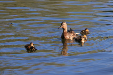 Санкт-Петербург