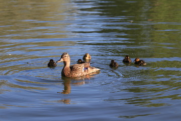 Санкт-Петербург