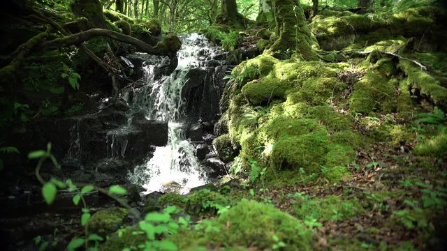Plan large d'une cascade / Large shot of a waterfall 4K