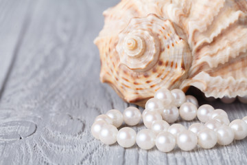 Wedding background with pearls and sea shell. Luxury wedding background