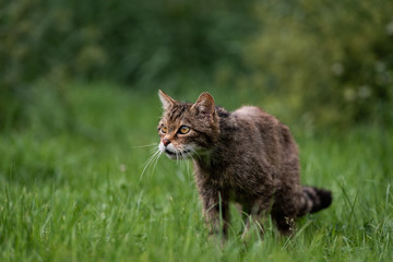 Obraz premium Target in my sites