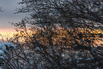 Obraz premium Winter landscape
