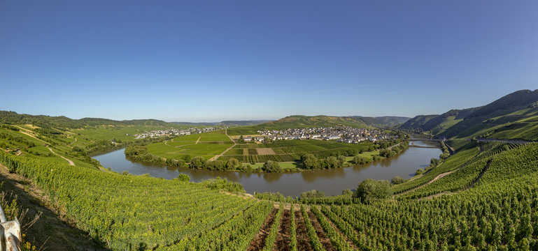 famous moselle sinuosity at  Leiwen called Zummet hights