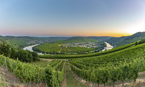 famous moselle sinuosity at  Leiwen called Zummet hights