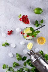 Cocktail shaker, lemon, lime, mint leaves , red currant  and  ice  for preparing a summer cocktail