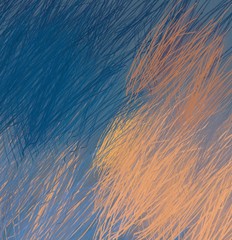 Contemporary art. Hand made art. Colorful texture. Modern artwork. Brushstrokes. Artistic background image. Abstract painting on canvas. Charcoal.