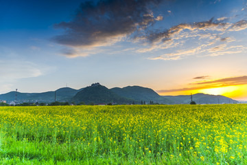 Sunset at the springtime