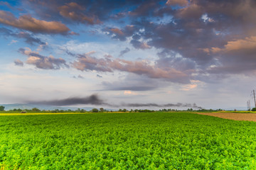 Sunset near old citadel Deva, Romania