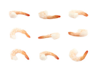 Single shrimp isolated