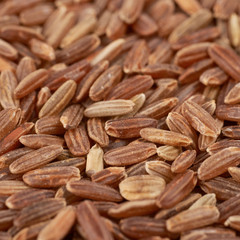 Surface coated with the brown rice grains