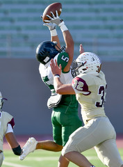 Football player making a catch during a football game © Joe
