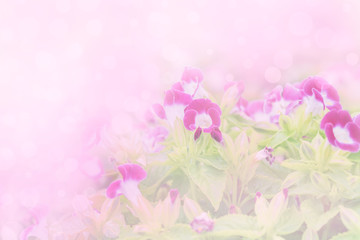 Purple color flower in soft and blur style for background