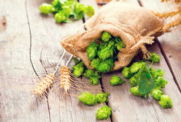 Brewery. Hope cones and wheat ears closeup. Beer production ingredients on wooden cracked old table