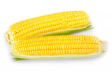 Fresh corn on white background