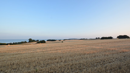 Obraz premium Strohballen im Sonnenuntergang, Gerstenfeld bei Groß Stresow auf Rügen
