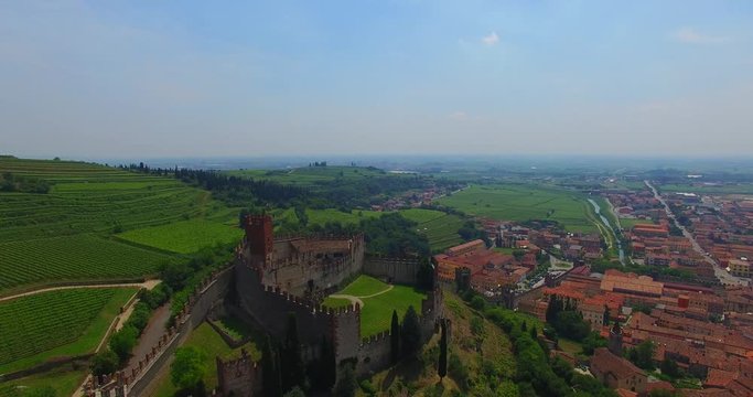 Soave (Italy) surrounded by vineyards that produce one of the most appreciated Italian white wines, and its famous medieval castle.