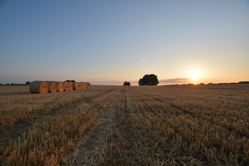 Erntezeit auf R&uuml;gen - Strohballen bei Sonneuntergang