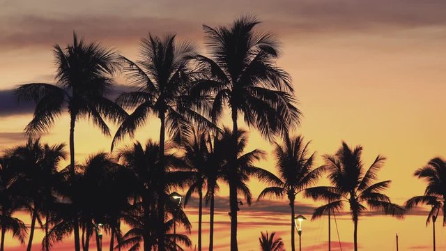  Professional video of sunset in Hawaii in 4k slow motion 60fps