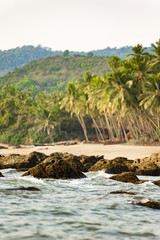 (Selective focus) Beautiful and relaxing beach flanked by green palm trees at sunset. Varkala, Kerala, India.