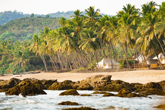 Beautiful and relaxing beach flanked by green palm trees at sunset. Varkala, Kerala, India.