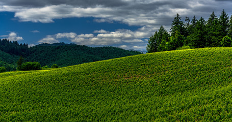 Landscape with Green Fields and Hills with a Blue Sky and Clouds in the Background