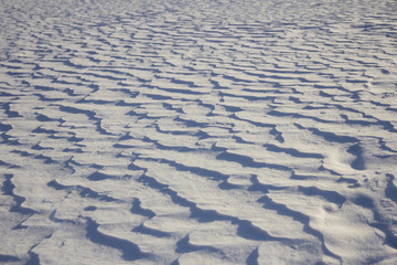 Background drift snow waves were made by the wind at winter snowstorm