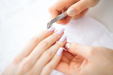 Obraz na płótnie Canvas SPA manicure. French manicure at spa salon. Woman hands in a nail salon receiving a manicure procedure. Manicure procedure