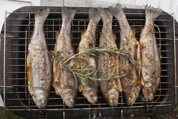 Preparing fresh fish trout on electric grill