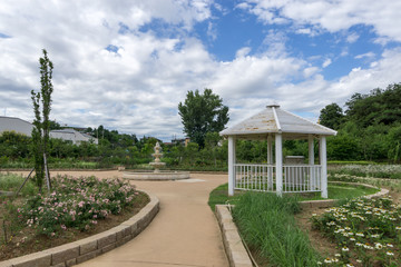Fototapeta premium pureun arboreteum rose garden