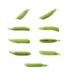 Green pea bean isolated