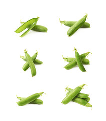 Green pea bean isolated