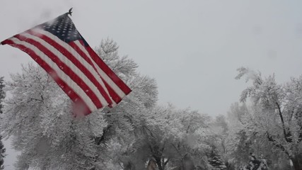 Snow covered trees in the background, and an American flag flying in the foreground. The snow is still falling during this cold wintery video. - Powered by Adobe
