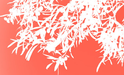 Digital background art of olive tree