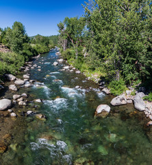 Truckee river on a summer morning © James Sakaguchi