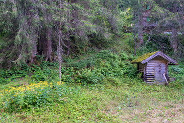 Kleine Holzhütte im Wald