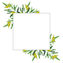 Square frame with olive branch. Watercolor hand drawn illustration. Botanical label