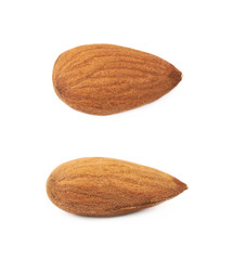 Single almond isolated