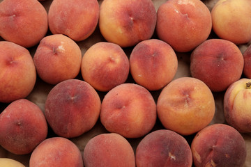 Farmer's Market fresh Produce.