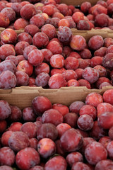 Farmer's Market fresh Produce.