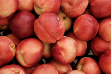 Farmer's Market fresh Produce.